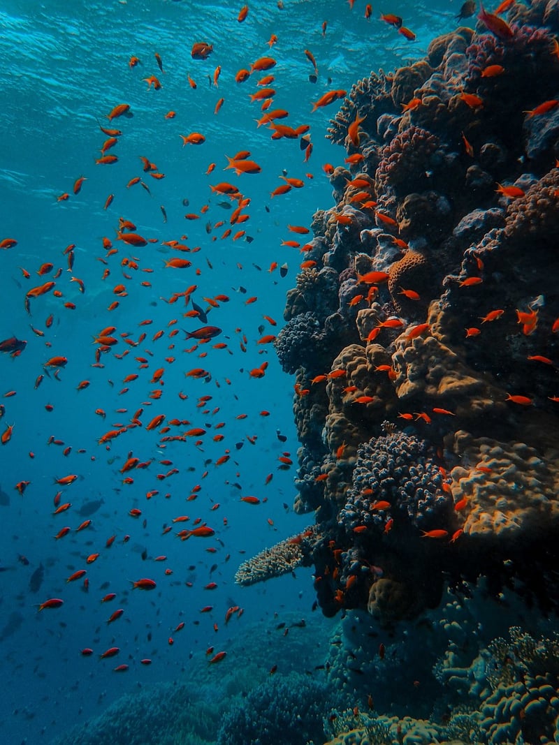 Underwater Diving
