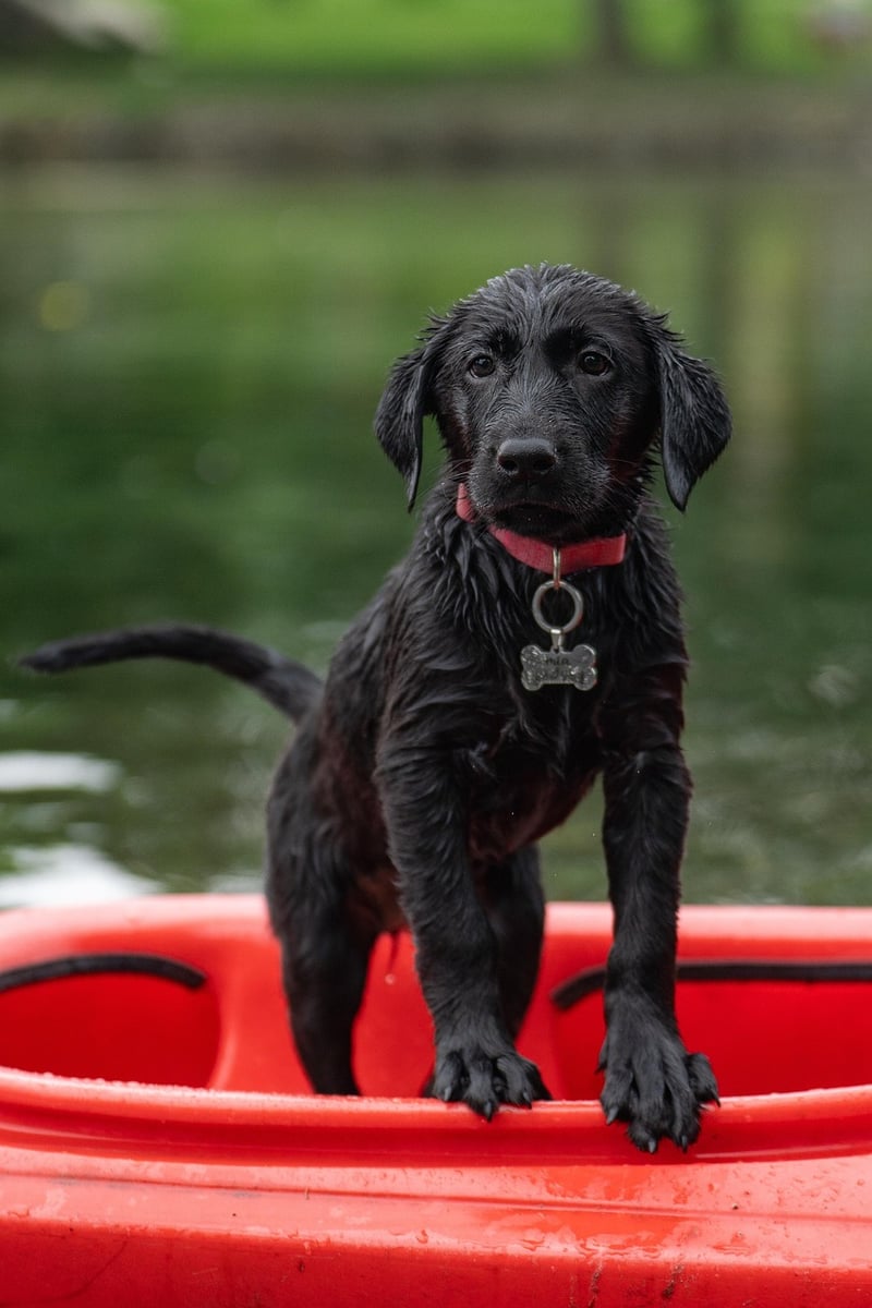 Kayaking in Rivers